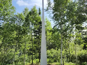Silent Witness Memorial