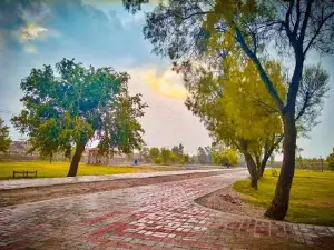 Kamal Park