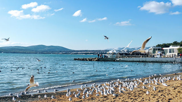 Tsentral'nyy Plyazh Goroda Gelendzhik