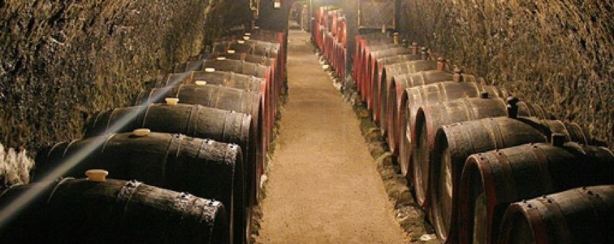 Páll Cellar
