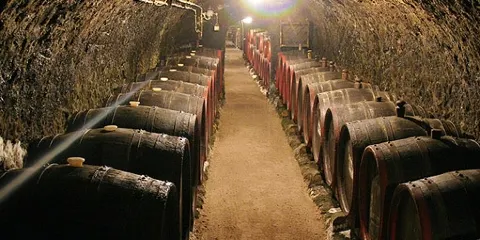 Páll Cellar