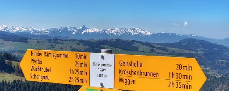 Rämisgummenhoger
