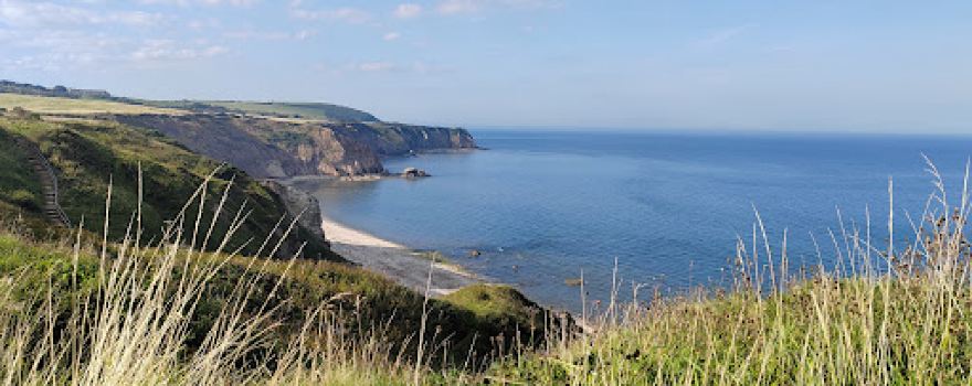 Easington Colliery Local Nature Reserve