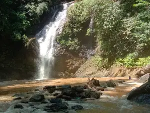 SIMPANG 3 TAYAWA - SOYOJAYA