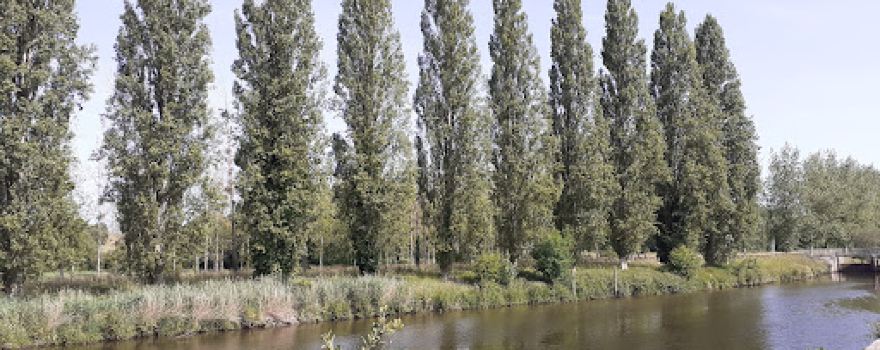 Paroisse Plancoët-Val d'Arguenon