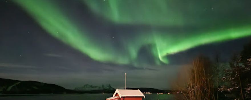 Ulvsvag Fjordcamping