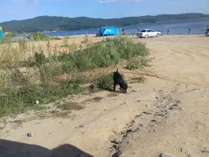 beach Fokino