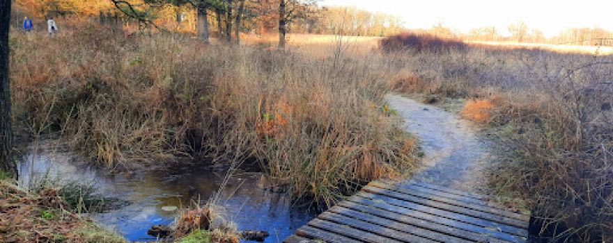 Natuurgebied Appelbergen