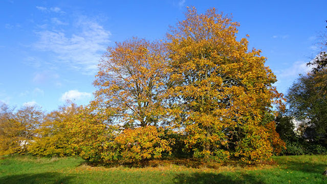 Freizeitpark Erftaue