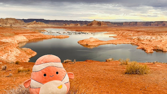 Navajo Mountain Viewpoint