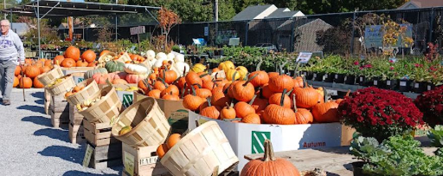 A.A. Co. Farm, Lawn & Garden Center LLC