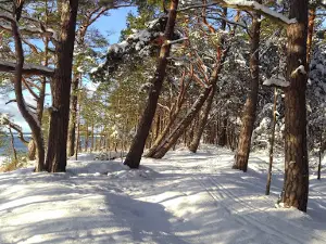 Pärlselja puhkekeskus