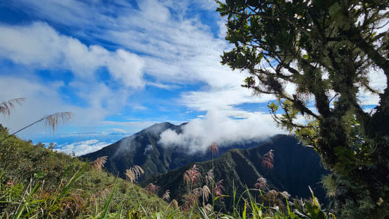 Mount Kitanglad Range Natural Park