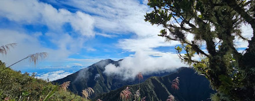 Mount Kitanglad Range Natural Park
