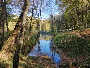 Rayivskyy landscape park