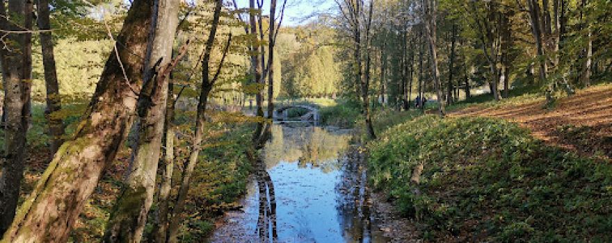 Rayivskyy landscape park