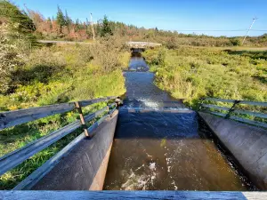 MacElmon's Pond Provincial Park