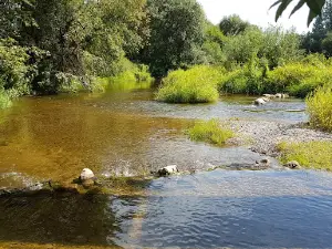 Ariogalos Dubysos slėnis
