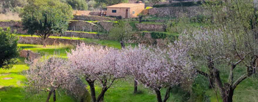 Camí del Correu