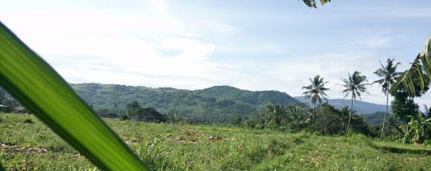 Lapang Awilega Bojong Sawah, Kebon Pedes
