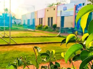 CricKingdom Risod Cricket Academy By Rohit Sharma