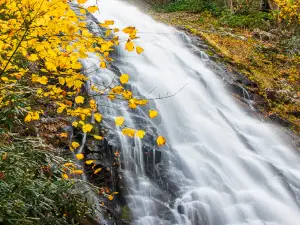 Crabtree Falls