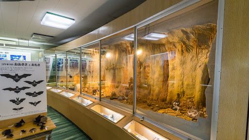Akiyoshi-dai Museum of Natural History