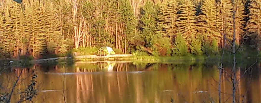 Squirrel Creek Campground