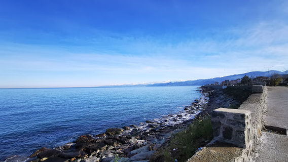 Arakli