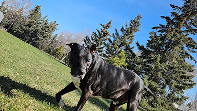 Grand Trunk Fitness and Leisure Centre