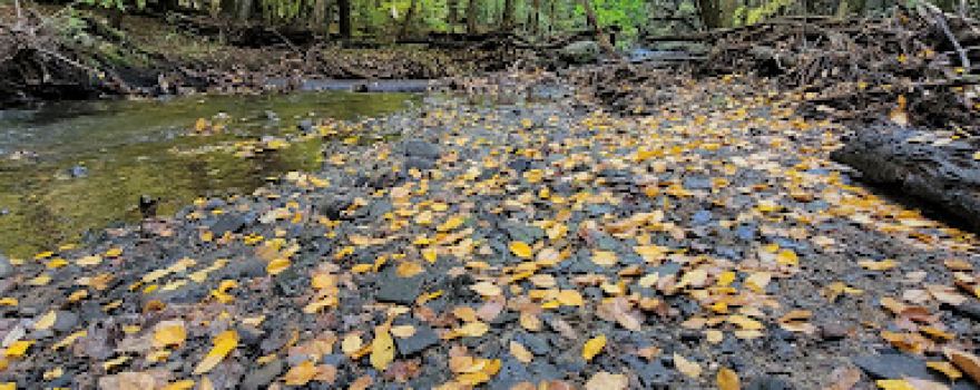 Orra Phelps Nature Preserve