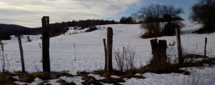 Office National des Forêts (O.N.F)