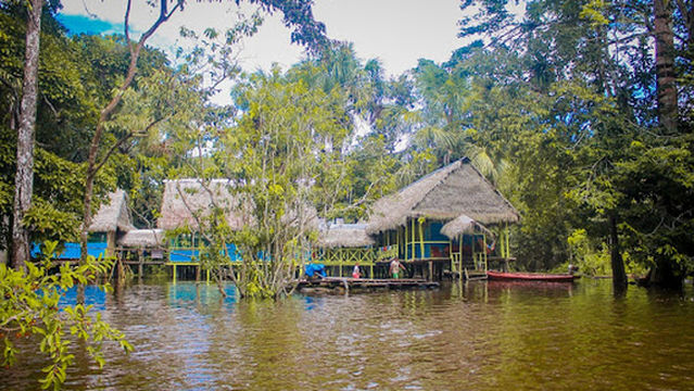 Ecological Jungle Trips