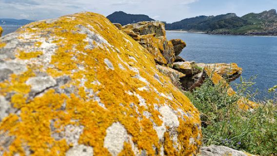 Maritime-Terrestrial National Park of the Atlantic Islands of Galicia