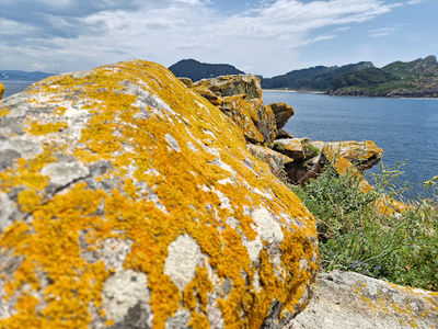 Maritime-Terrestrial National Park of the Atlantic Islands of Galicia