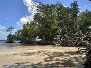 Pantai Ujung Alawa