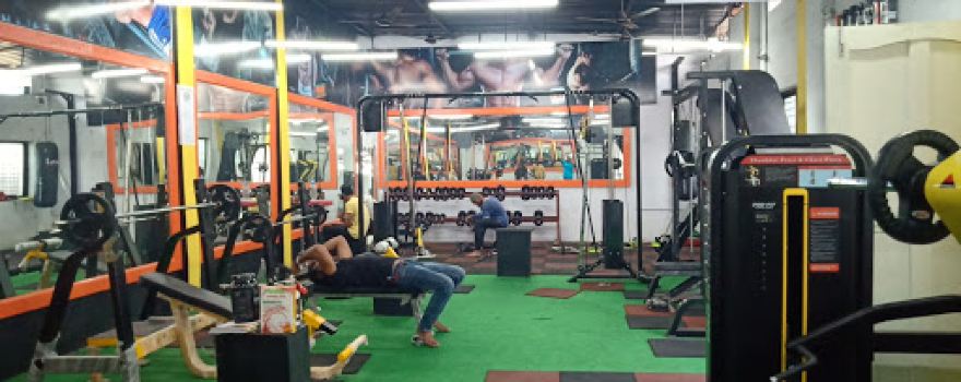 AR Gym &Fitness Club