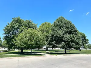 Кларинда Паркс & Рекреэйшен