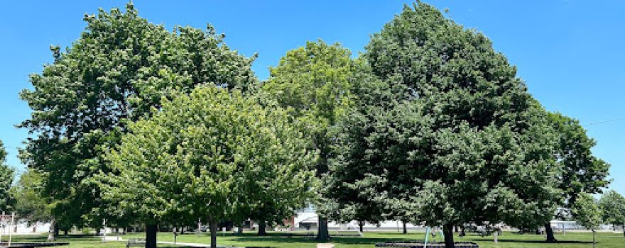 Clarinda Parks & Recreation