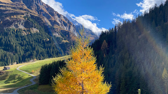 Naturpark Beverin