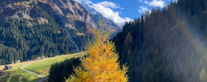 Naturpark Beverin
