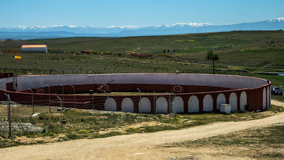 Capeas en Salamanca [ACCIÓN MARTINAMOR]