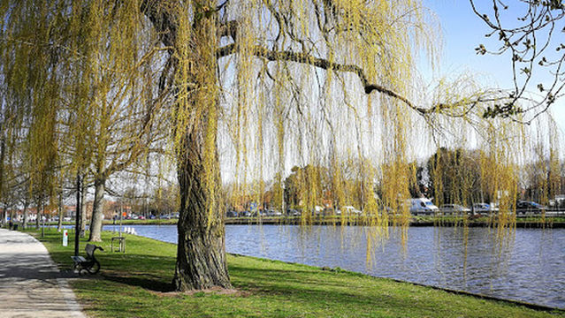 Sport Vlaanderen Brugge