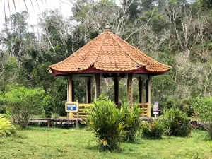 Sungai Basong Recreational Park