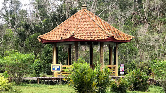 Sungai Basong Recreational Park