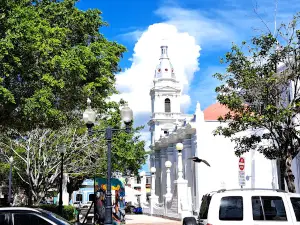 Plaza Las Delicias de Salinas
