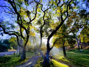 UC Riverside Botanic Gardens