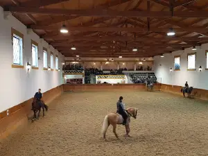 Feira da Golegã