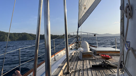 Sea Bird Sailing Excursions