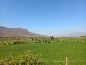 Macuaco
